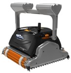 Dolphin Standard New