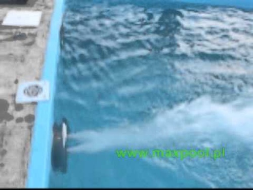 Atrakcje basenowe - tajfun przeciwprąd
