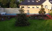 DSC00689.jpg